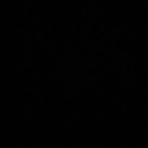 Meet your Posher, Aline